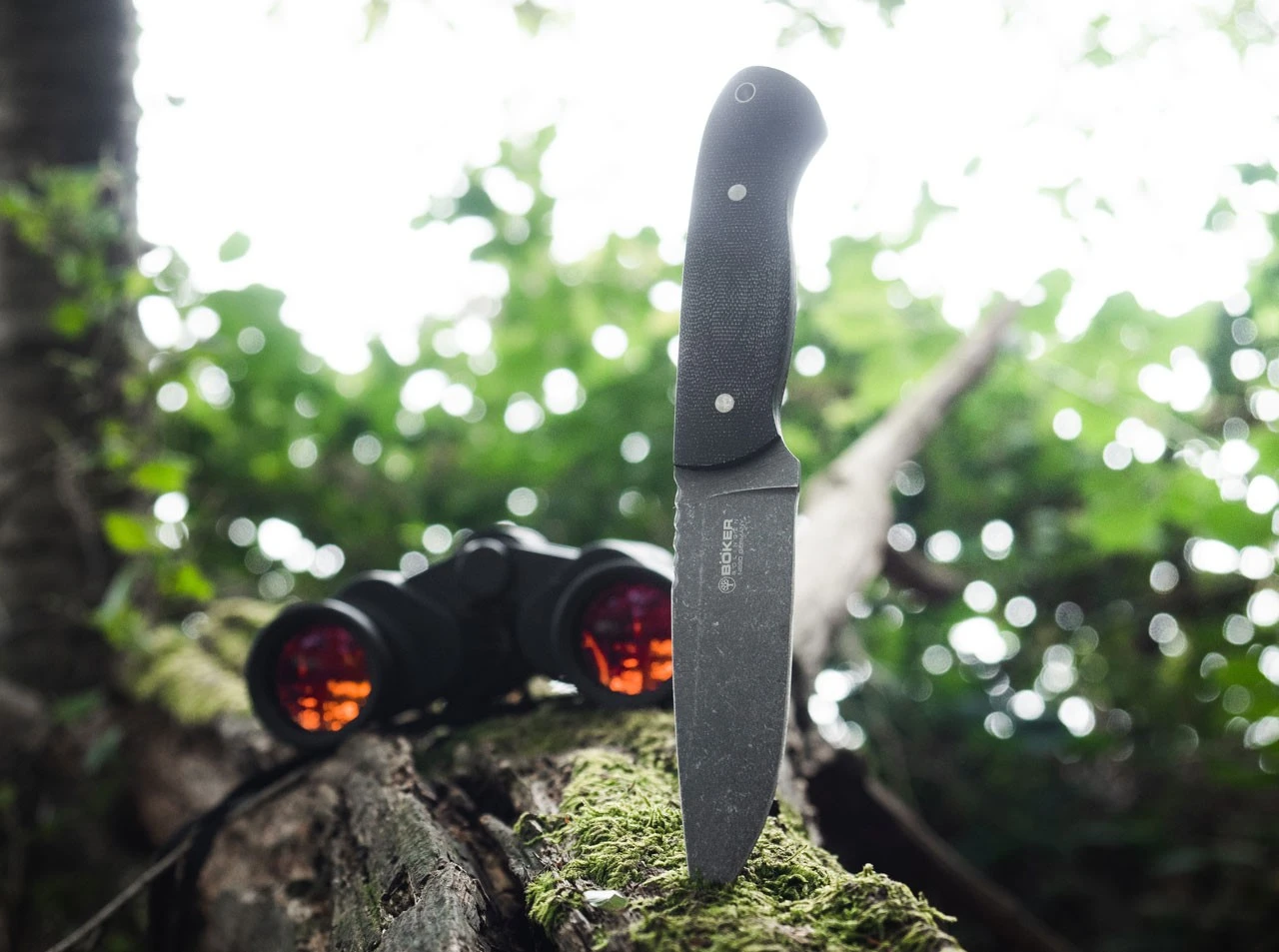 Drikas Black 11 Drikas Black – Bild 9